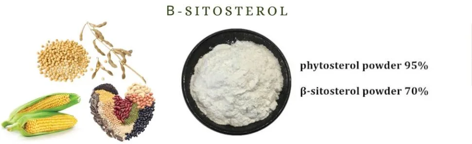 High Quality Beta Sitosterol Powder
