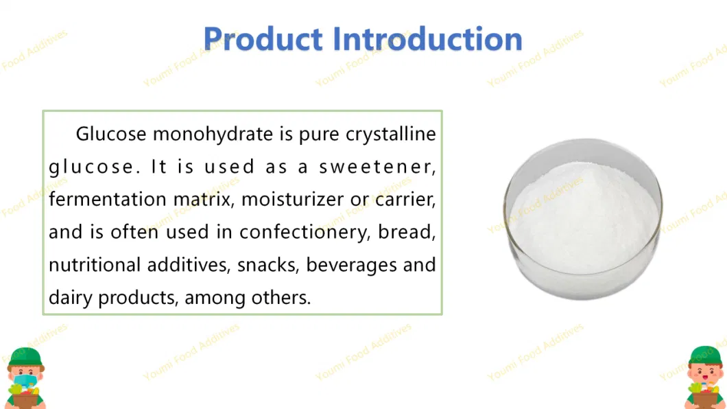 Food Additive Sweeteners Dextrose Monohydrate/Dextrose Anhydrous /Glucose Powder with Best Price