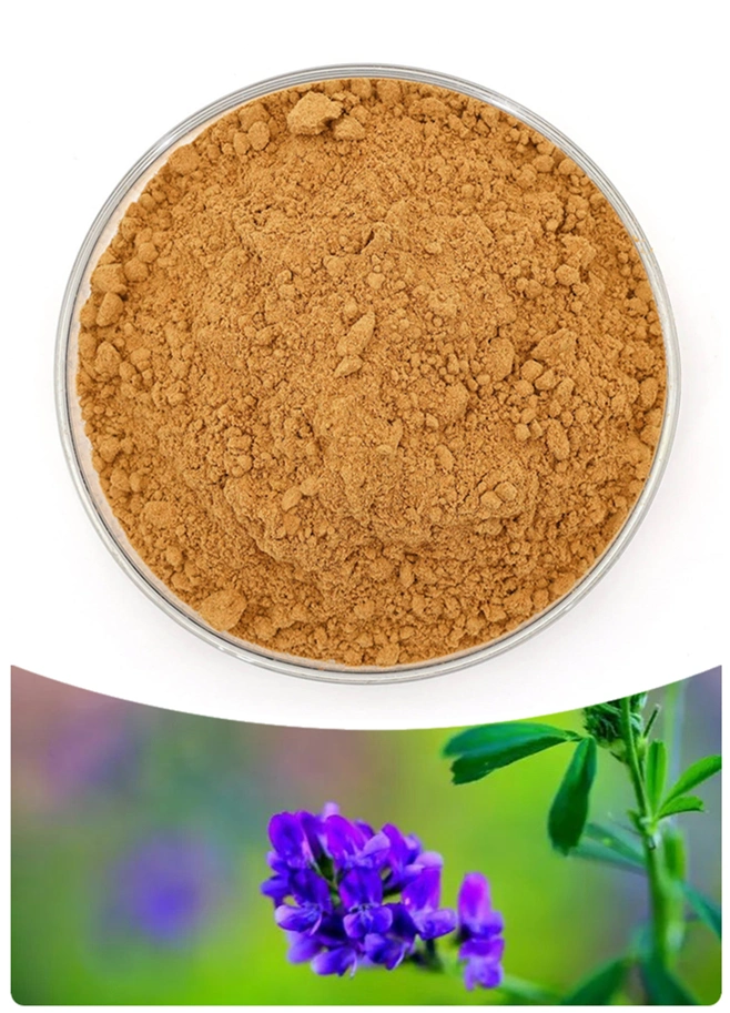 China Herb Extract Natural Medicago Extract Powder Alfalfa Extract