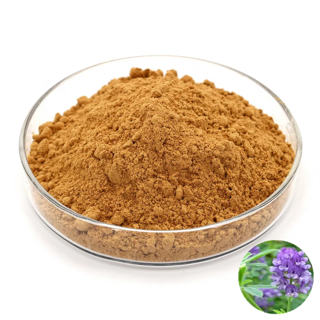 China Herb Extract Natural Medicago Extract Powder Alfalfa Extract