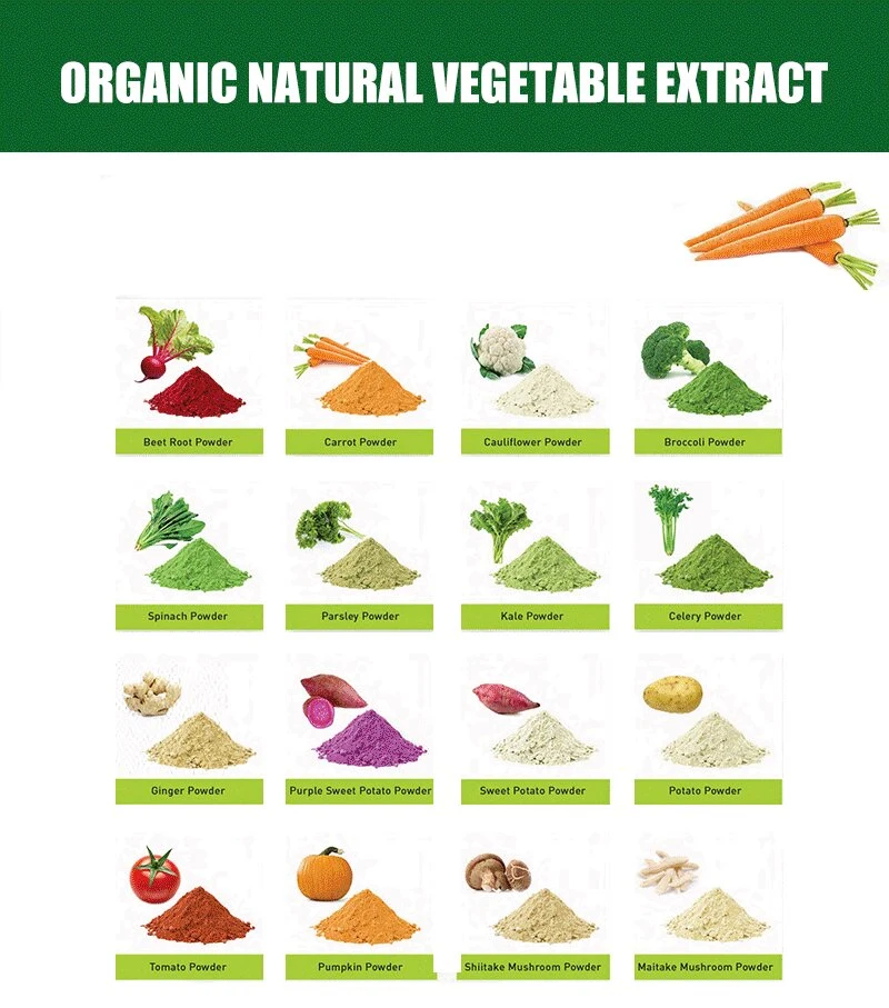 Fruit Vegetables Powder Extract Juice Powder Natural Organic