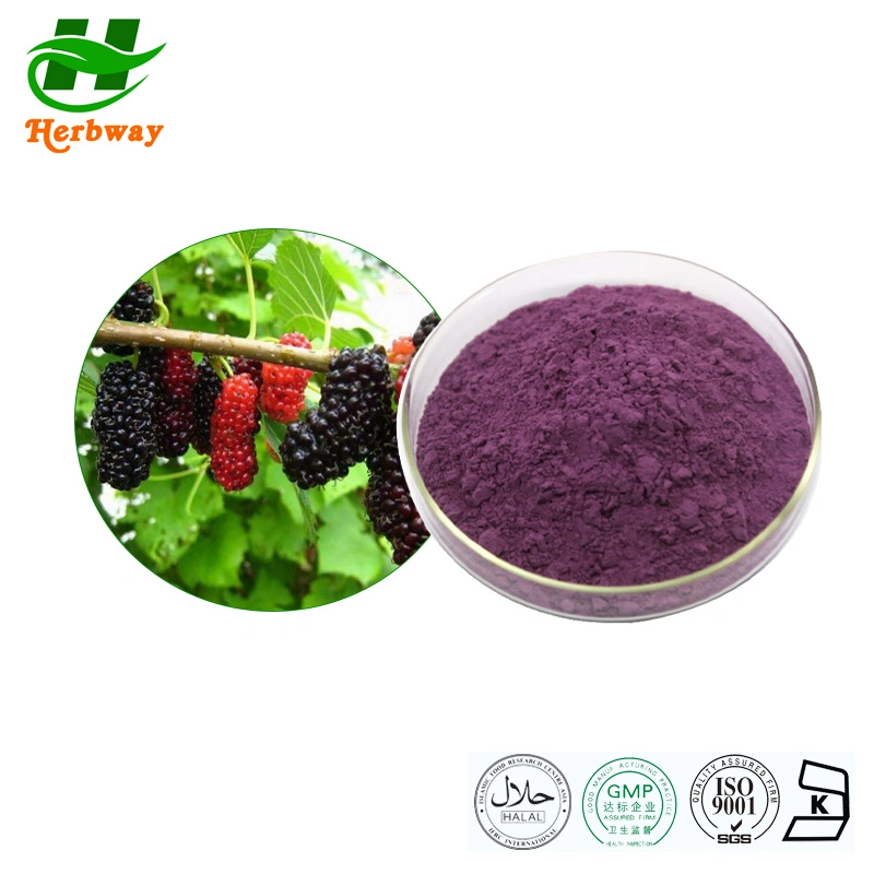 Herbway Kosher Halal Fssc HACCP Certified Mulberry Fruit Extract Fruit and Vegetable Juice Mulberry Powder