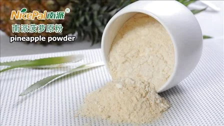 Natural Spray Dried Mango Fruit Powder / Mango Powder /Mango Juice Powder