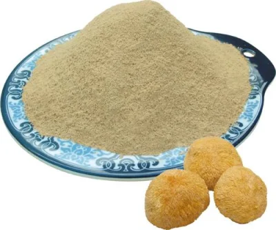 Wholesale Hot Sale Organic Lion′ S Mane Mushroom Powder Plant Extract