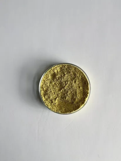 Wholesale Hot Sale Organic Lion′ S Mane Mushroom Powder Plant Extract