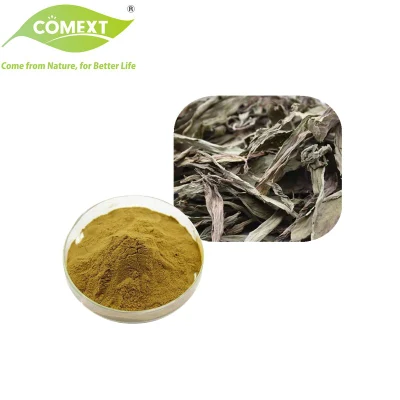 Comext Natural Herb Best Price Natural Sweetener 90% Stevioside Stevia Extract Powder
