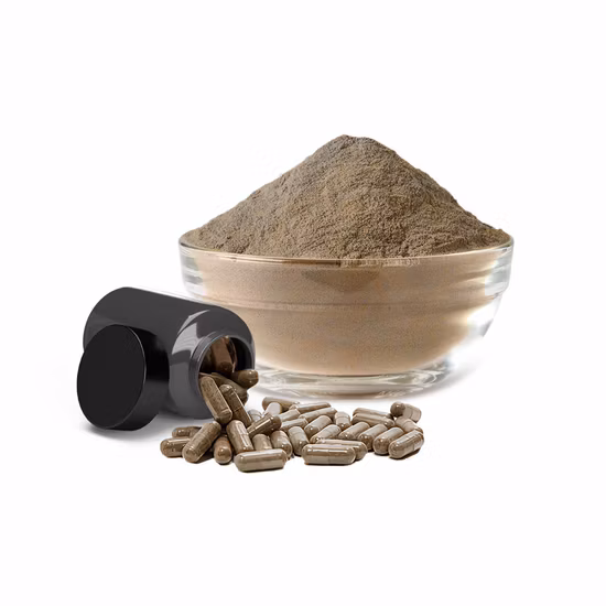 Shiitake Mushroom Extract Powder Reishi Mushroom Extract Polysaccharide 5