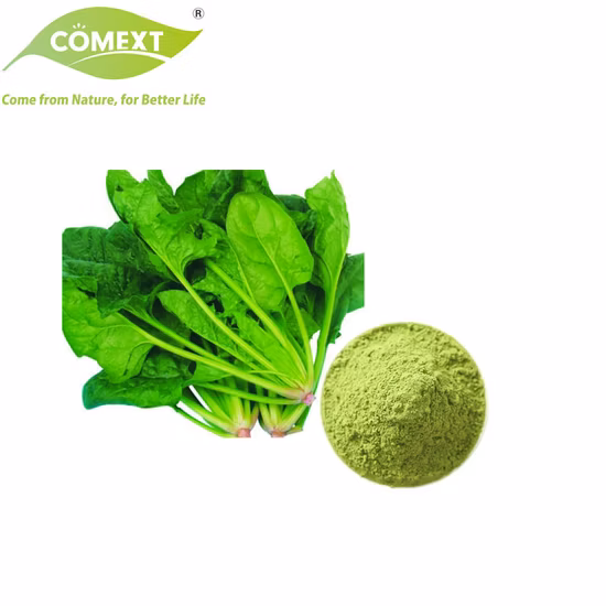 Fruit Vegetables Powder Extract Juice Powder Natural Organic