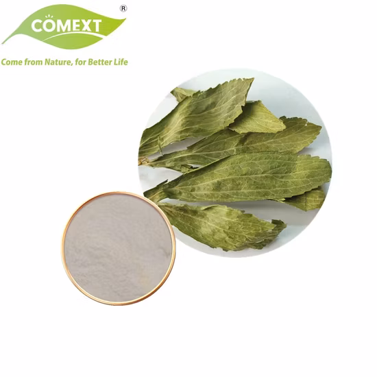 Comext Natural Herb Best Price Natural Sweetener 90% Stevioside Stevia Extract Powder